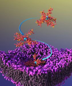 In Silico Biomatter