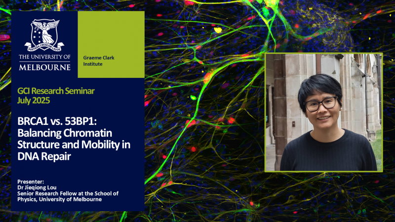 Image for GCI Seminar Series July 2025: BRCA1 vs. 53BP1: Balancing Chromatin Structure and Mobility in DNA Repair